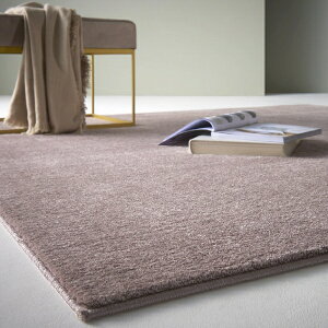 X~mGbSUMINOE J[O~`@~200×200cm [