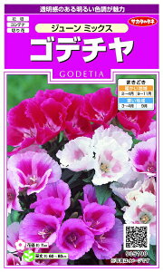 TJ^̃^lbSAKATA SEED CORPORATION  Sf` W[~bNX  905190