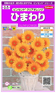 �T�J�^�̃^�l�bSAKATA SEED CORPORATION ���� �Ђ܂�� �r���Z���g �N���A�I�����W ���� 905627
