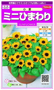 �T�J�^�̃^�l�bSAKATA SEED CORPORATION ���� �~�j�Ђ܂�� ���� ���� 905630
