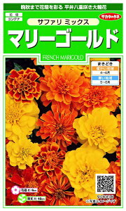 �T�J�^�̃^�l�bSAKATA SEED CORPORATION ���� �}���[�S�[���h �T�t�@���~�b�N�X ���� 906836