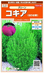 �T�J�^�̃^�l�bSAKATA SEED CORPORATION ���� �R�L�A �i�ق������j�O���[�� ���� 907180
