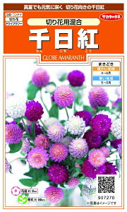 �T�J�^�̃^�l�bSAKATA SEED CORPORATION ���� ����g �؉ԗp���� ���� 907270