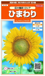 �T�J�^�̃^�l�bSAKATA SEED CORPORATION ���� �Ђ܂�� ����֍烍�V�A ���� 907541