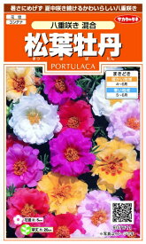 サカタのタネ｜SAKATA SEED CORPORATION 実咲 松葉牡丹 八重咲き混合 実咲 907611