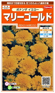 �T�J�^�̃^�l�bSAKATA SEED CORPORATION ���� �}���[�S�[���h �{�i���U �C�G���[ ���� 907633