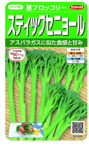 TJ^̃^lbSAKATA SEED CORPORATION  XeBbNZj[ subR[  922505