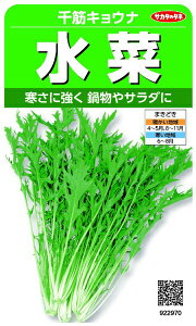 TJ^̃^lbSAKATA SEED CORPORATION   ؃LEi  922970