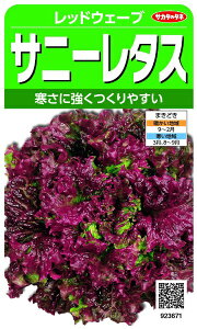 TJ^̃^lbSAKATA SEED CORPORATION  Tj[^X bhEF[u  923671