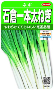TJ^̃^lbSAKATA SEED CORPORATION  Αq{˂ lM  923870