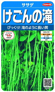 �T�J�^�̃^�l�bSAKATA SEED CORPORATION ���� ������ ������̑� ���� 927077