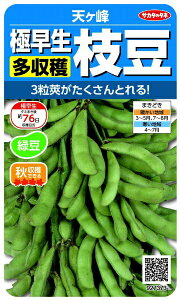 �T�J�^�̃^�l�bSAKATA SEED CORPORATION ���� �ɑ��������n�}�� �V���� ���� 927373