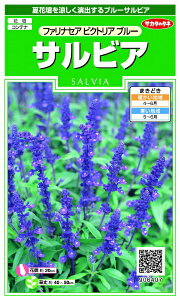 �T�J�^�̃^�l�bSAKATA SEED CORPORATION ���� �T���r�A �t�@���i�Z�A �r�N�g���A�u���[ ���� 906407