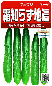 �T�J�^�̃^�l�bSAKATA SEED CORPORATION ���� ���m�炸�n�� �L���E�� ���� 920470