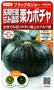 �T�J�^�̃^�l�bSAKATA SEED CORPORATION ���� ���������ÂݔZ���I�J�{�`�� �u���b�N�̃W���[ ���� 921033