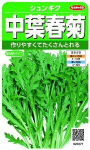 TJ^̃^lbSAKATA SEED CORPORATION  tte VMN  923271