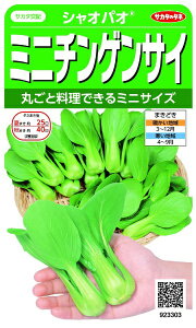 �T�J�^�̃^�l�bSAKATA SEED CORPORATION ���� �~�j�`���Q���T�C �V���I�p�I ���� 923303
