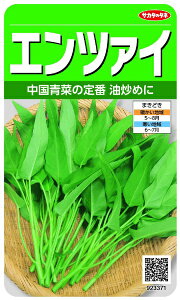 TJ^̃^lbSAKATA SEED CORPORATION  Gc@C  923371