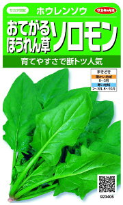 TJ^̃^lbSAKATA SEED CORPORATION  Ăق \  923405