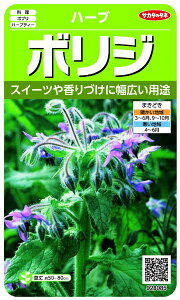 TJ^̃^lbSAKATA SEED CORPORATION  n[u {W  928085
