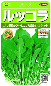 TJ^̃^lbSAKATA SEED CORPORATION  n[u bRiPbgj  928089