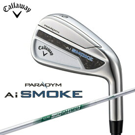 キャロウェイ｜Callaway アイアンセット PARADYM Ai SMOKE 5本セット [N.S.PRO 950GH neo /S /メンズ /右利き用]