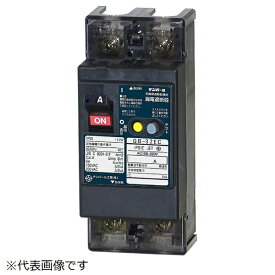 テンパール工業｜Tempearl 漏電遮断器 GB-32EC 20A 15MA