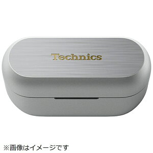 Panasonic�b�p�i�\�j�b�N �w�b�h�z���p �[�d�P�[�X�i�V���o�[�j PNWECAZ80SC