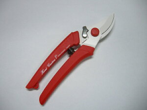 ⌹bSakagen ⌹ #355 nhNG[VP180  BP