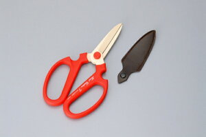 ⌹bSakagen ⌹ #357 nhNG[VF195 BP