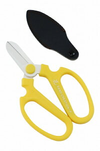 ⌹bSakagen ⌹ #359 nhNG[VFL[g  BP