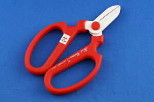 ⌹bSakagen ⌹ #1352 nhNG[V F170 p BP