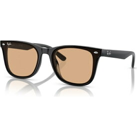 レイバン｜RayBan RB4391D WASHED LENSES【Low Bridge Fit】RB4391D 601/93 65mm ブラック/ブラウン