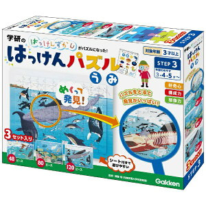 wXeCtbGakken Sta:Full ͂pY 