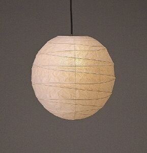 эH|bHayashi Kogei эH| tJ A[gay_g V[Y tJNX (60cm) TP-24H [4.5 /dF /E26]