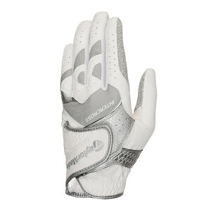 e[[ChStbTaylor Made Golf StO[u C^[NX 6.0 zCg×O[ UN146 [蒅p(Ełp) /21cm]yԕisz