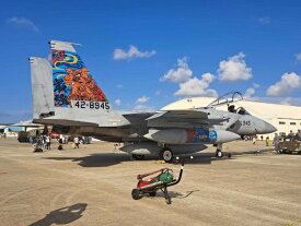 プラッツ｜PLATZ 1/72 航空自衛隊 F-15J イーグル 那覇基地 美ら島エアーフェスタ2023 記念塗装機