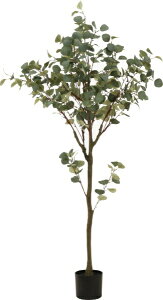 yGg[ōőSz|CgҌb12/11܂Łz sfՁbFuji Boeki tFCNO[ 150cm WCg [J 41120