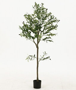 yGg[ōőSz|CgҌb12/11܂Łz sfՁbFuji Boeki tFCNO[ 150cm WCg I[u 41121