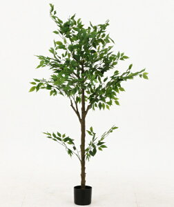 yGg[Ń|Cgő3{b12/1z sfՁbFuji Boeki tFCNO[ 160cm WCg tBJX 41123