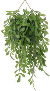 sfՁbFuji Boeki tFCNO[ nMO / NWNV 41124