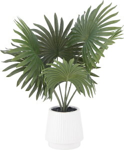 sfՁbFuji Boeki tFCNO[ Z~bN|bg pi}\E 41129