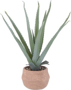 sfՁbFuji Boeki tFCNO[ Zg|bg AGS 41134