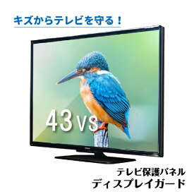 ニデック｜NIDEK C2ADG9204305102 液晶テレビ用保護パネル　ディスプレイガード 【43V型対応】