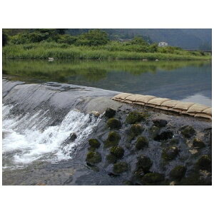 ɓ[eCNbITOCHU Retail Link IRL wH zŷANAubN ĝĔ NX15L y[J[EsEԎwEԕisz