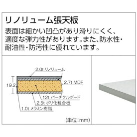 トラスコ中山｜TRUSCO NAKAYAMA TRUSCO RAE型作業台 900X600XH740 薄型1段引出付 ホワイト色 RAE0960UDK1W 【メーカー直送・代金引換不可・時間指定・返品不可】