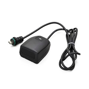 fCgibDAYTONA [U[Mjbg 21499