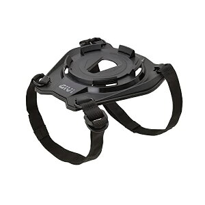 fCgibDAYTONA GIVI S430 V[gbNtW 17874