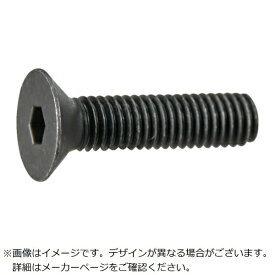 トラスコ中山｜TRUSCO NAKAYAMA TRUSCO　六角穴付皿ボルト　黒染め　全ねじ　M6×10　10本入　少量パック