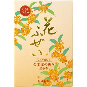 yGg[ōőSz|CgҌb11/5z J}bKameyama Ԃӂ ؍  p^ 220g